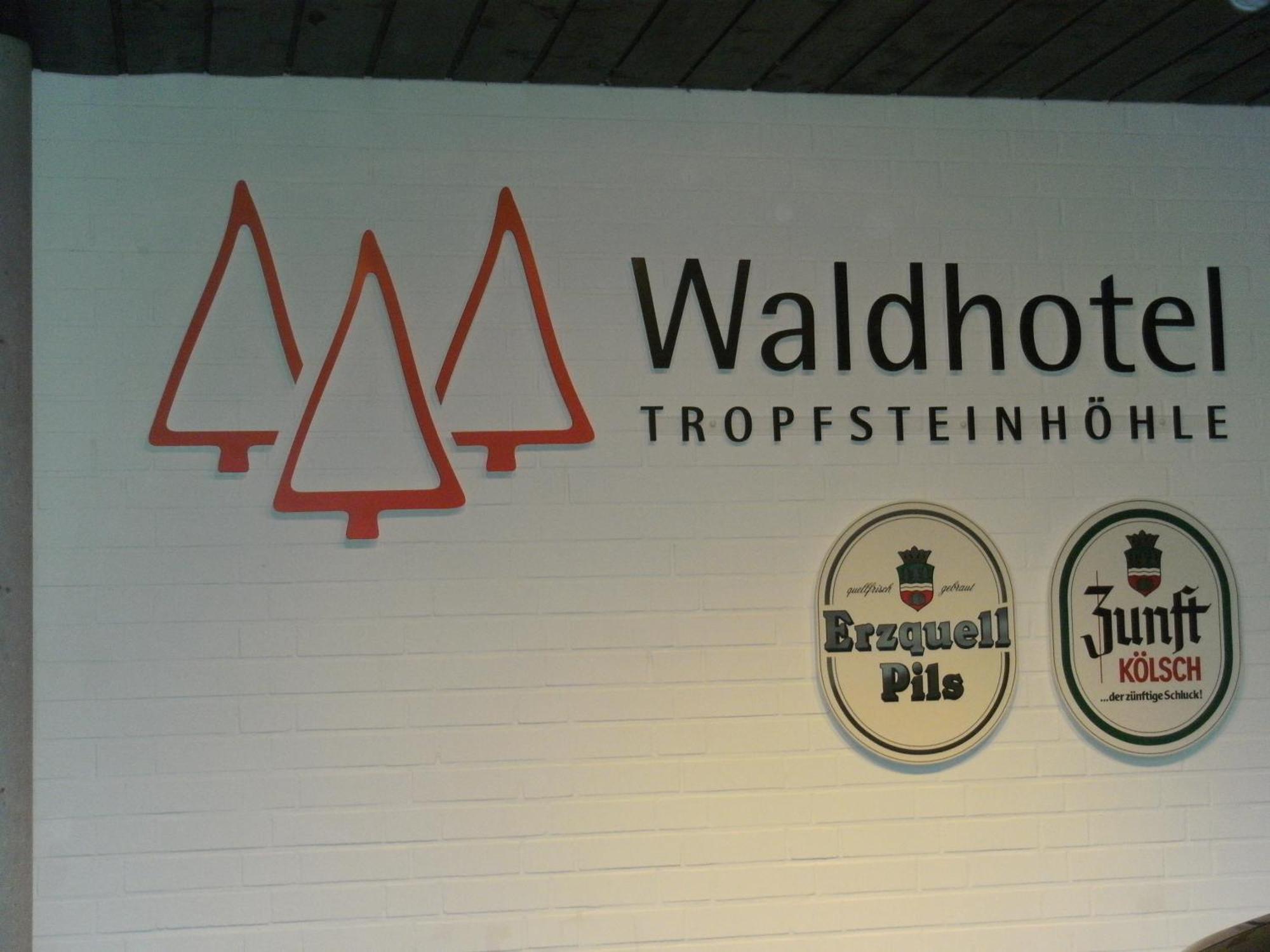 Waldhotel Tropfsteinhoehle วีล ภายนอก รูปภาพ
